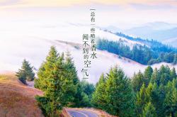 英雄联盟总决赛-（扩展构思）