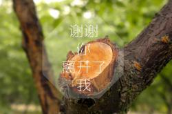 英雄联盟总决赛-绿茵场上的利拉德时刻，当绝杀基因跨越山海共鸣