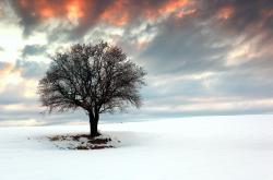 LOL赛事-孤勇者与铁血阵，莫兰特压制级个人秀难敌雄鹿硬仗机器