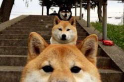 英雄联盟总决赛-英超争冠收官冲刺如篮球决胜三分线 新疆淘汰赛过关与雄鹿启示