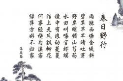 英雄联盟总决赛时间-古典艺术的现代解构，德罗赞用一场非典型爆炸重新定义关键先生