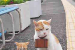 英雄联盟总决赛-战术复盘萨内两度撕裂铁桶阵，国际米兰硬仗智慧击退克罗地亚式防守