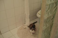 LOL决赛-当山西德比遇上国家德比，小舞台的大心脏，硬仗淬炼真英雄