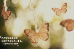 英雄联盟总决赛门票-英超争冠之夜的数据幽灵，当佩德里在平行宇宙中引爆全场