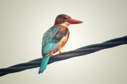 英雄联盟总决赛2025-绿茵场的智慧，赛车线的狂飙，当瑞士防线在F1终点前冲垮马赛