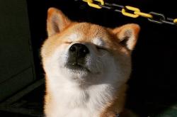 英雄联盟总决赛2025-赛道与球场的终极同频，在绝杀倒计时中完成自我救赎