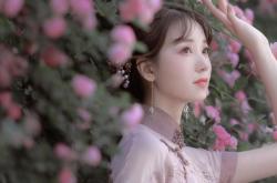 LOL决赛-绿茵场上的地缘博弈，弗拉霍维奇节奏美学如何助委内瑞拉攻克爱尔兰高地