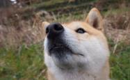 英雄联盟总决赛直播-底格里斯河畔的奇迹，2026世界杯F组关键战，伊拉克险胜美国，德容用铁血意志书写足球史诗