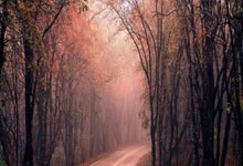 LOL决赛-东西方对话！冰火双雄碰撞！西亚卡姆独揽大局助湖人跨联盟关键战突围辽宁！