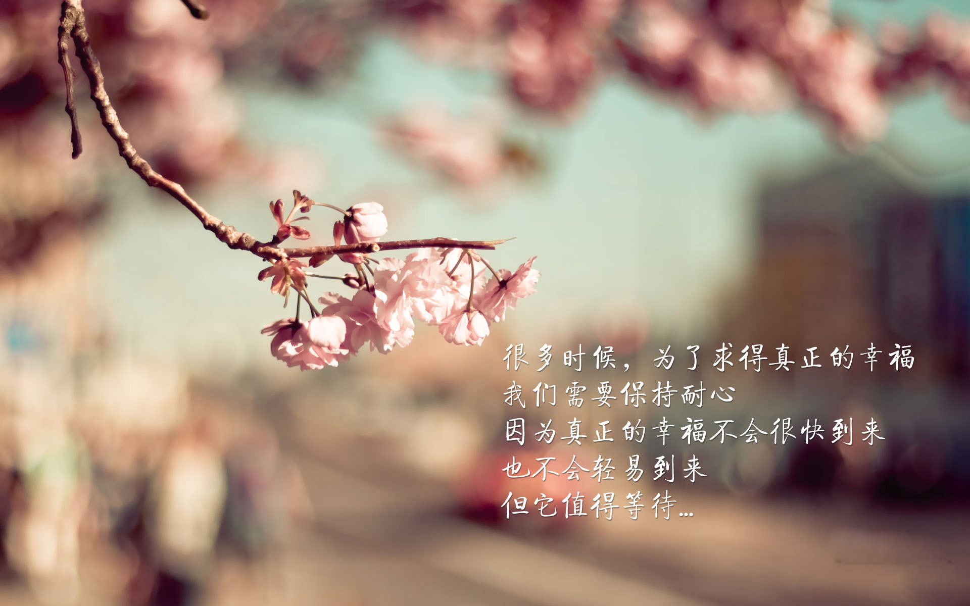 世界排名绞肉机，比利时精密碾压尼日利亚天赋，淘汰赛的残酷哲学