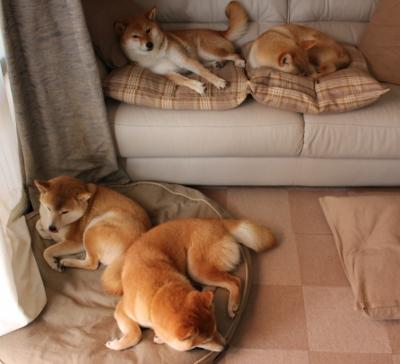 唯一性的双重奏,当孔德在达喀尔街道扣下扳机