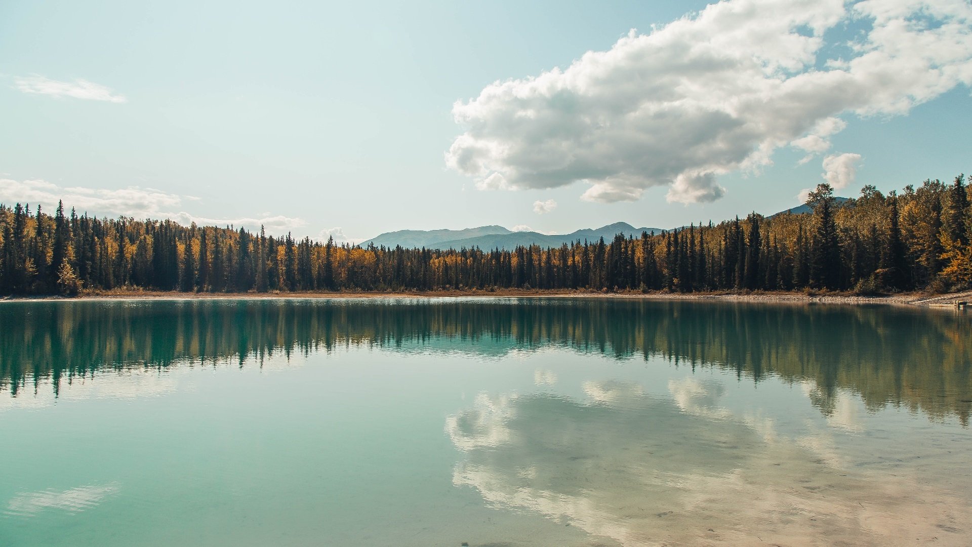 文班亚马攻防一体闪耀丹佛,掘金主场轻取奇才迎连胜