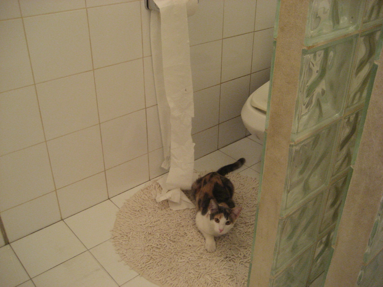 当山西德比遇上国家德比,小舞台的大心脏,硬仗淬炼真英雄