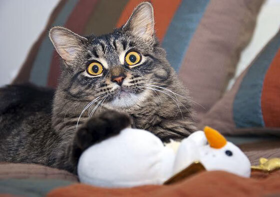 当东方铁闸遇上南方火焰,富安健洋主宰比赛走向与塞维利亚火力压制苏格兰的战术对话