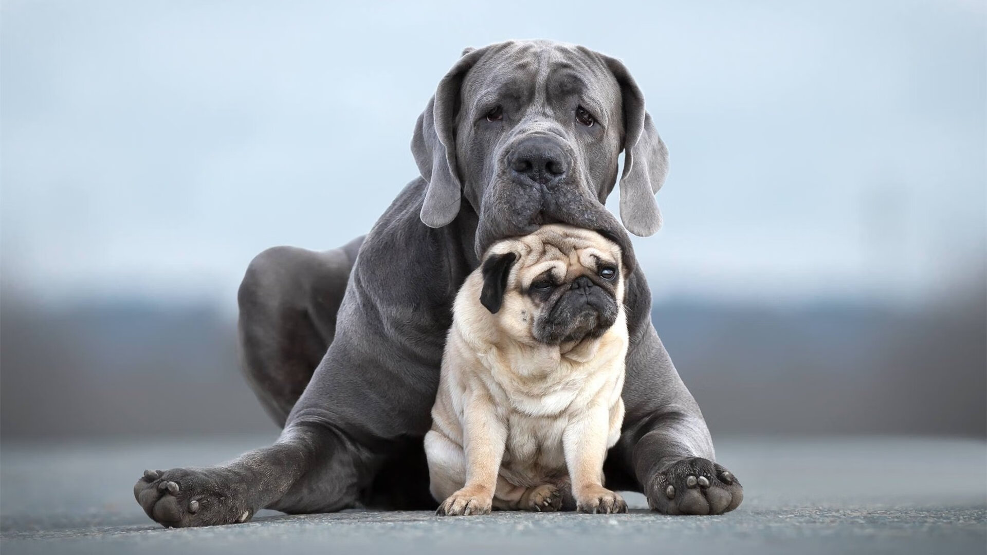 戈麦斯的隐形手杖,一场被精密调谐的足球独奏