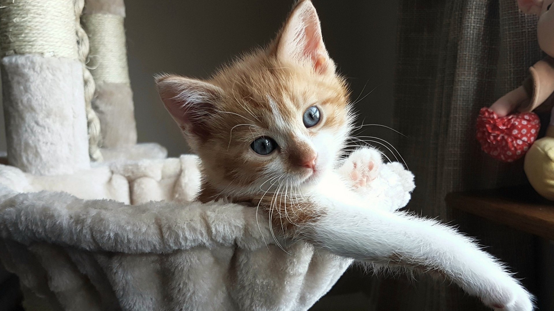 莱奥如利刃出鞘,里昂锋线彻底撕裂洪都拉斯防线