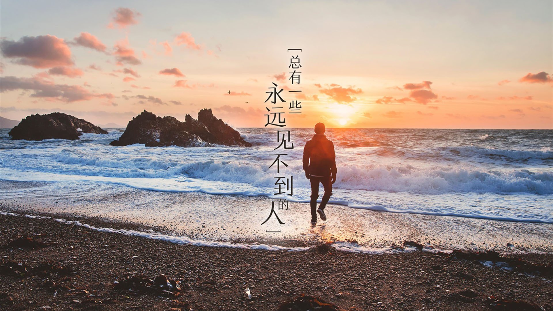 球场两端的不相关震撼，浙江队极致速胜与范弗利特遥远纪录的偶然共振