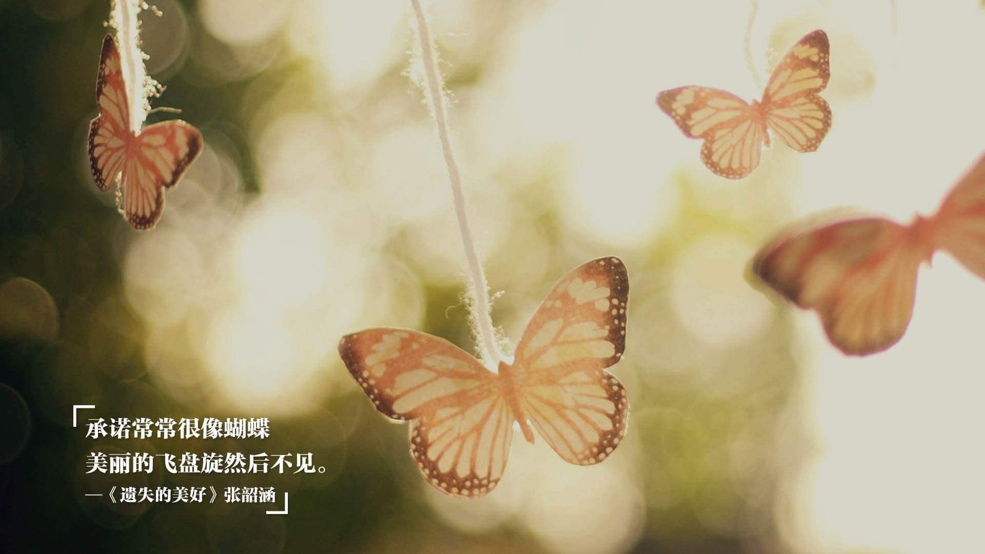 英超争冠之夜的数据幽灵,当佩德里在平行宇宙中引爆全场