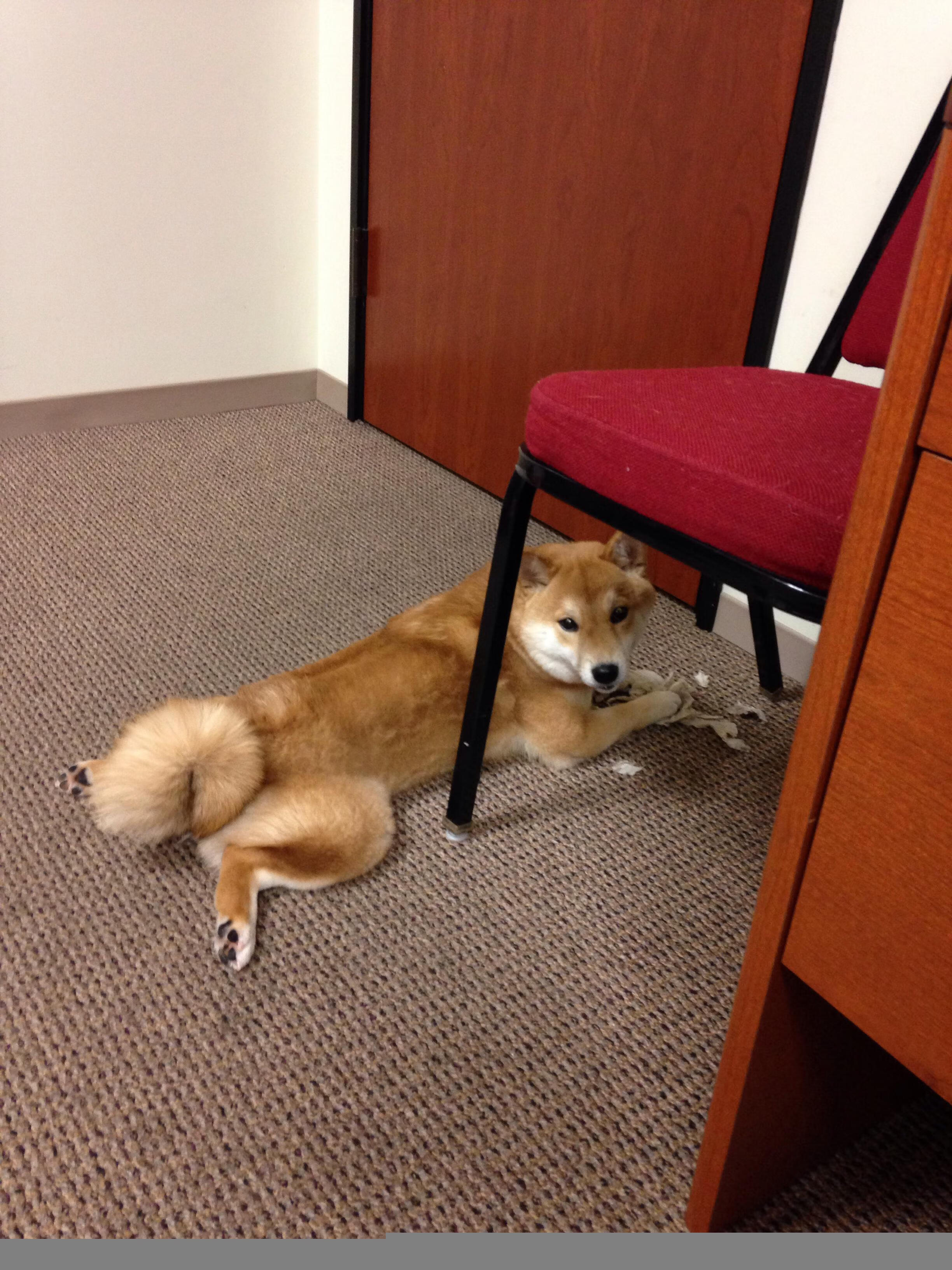 跨界统治，当雷霆横扫活塞，恩比德在欧冠决赛写就传奇