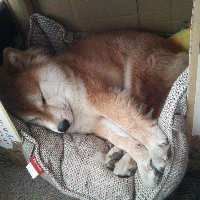 荣耀之血与沉默之心，当排名风暴夜遇上硬仗之王门迪