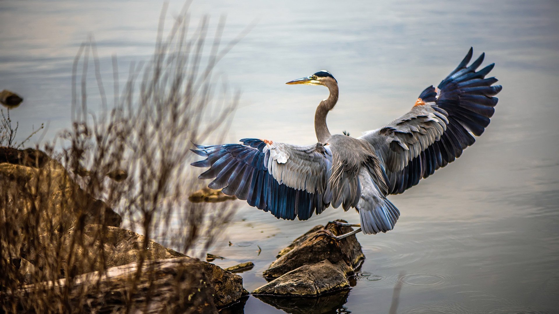 维也纳的闪电与首尔的星光,奥地利‘波带’战术摧毁巴拉圭,孙兴慜跨界闪耀全场