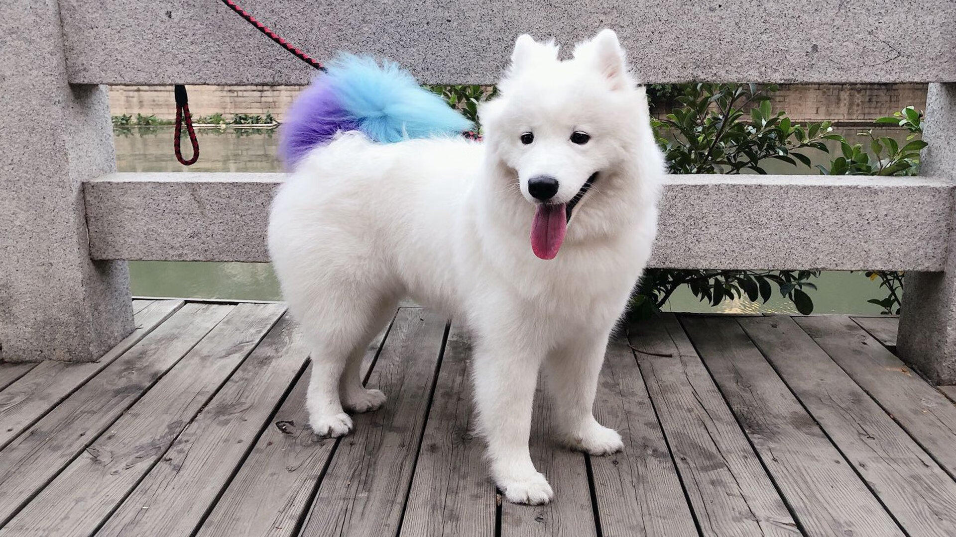 当格列兹曼爆发，枪手压哨绝杀—足球在模仿小说的那个夜晚