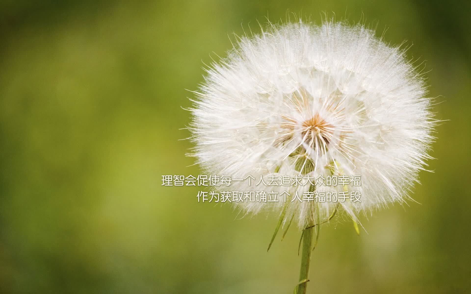 (可选其一)